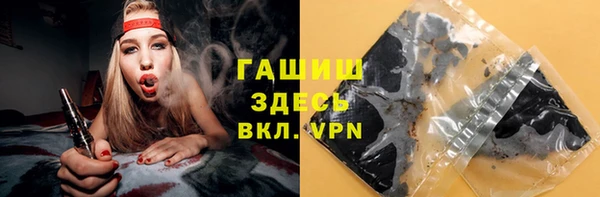 хмурый Абаза