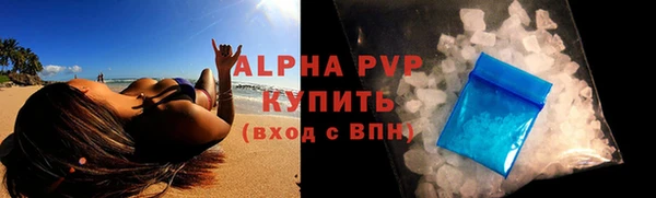 хмурый Абаза