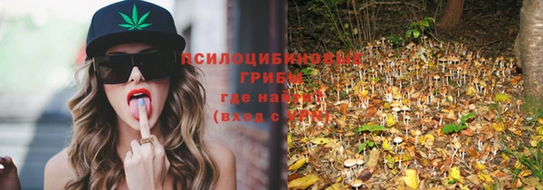 мет Абинск