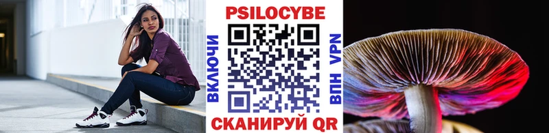 Псилоцибиновые грибы Psilocybe Новосибирск