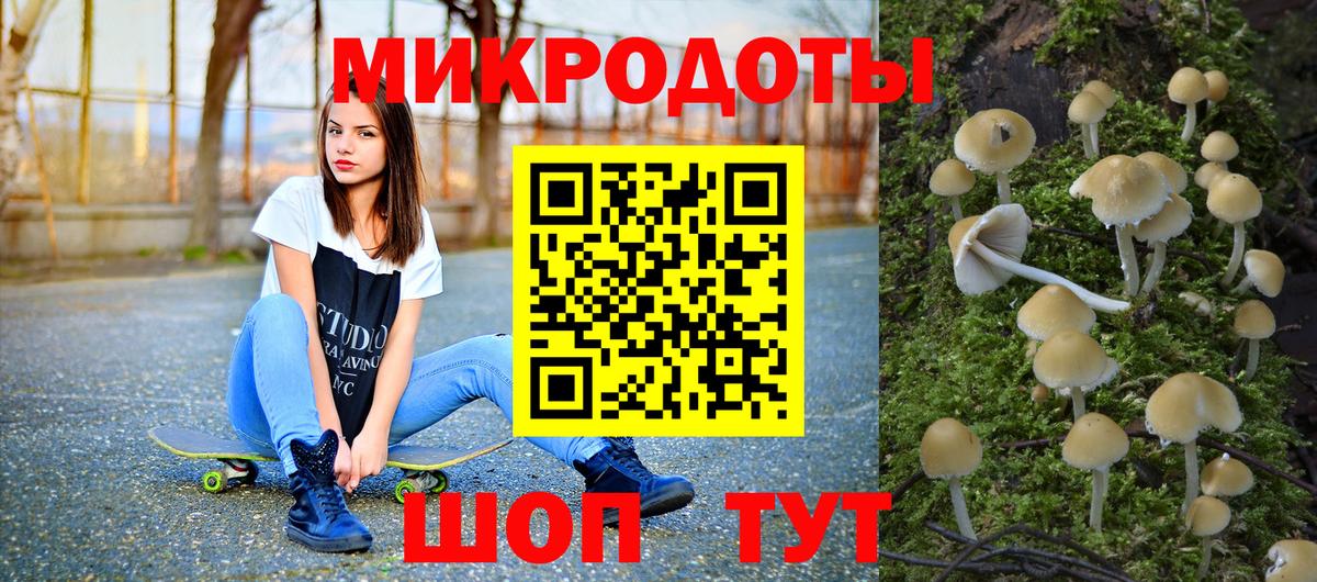 Новосибирск  Псилоцибиновые грибы мицелий  Вход с VPN 