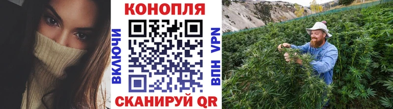 купить наркотик  маркетплейс Telegram  Шишки марихуана White Widow  Новосибирск 